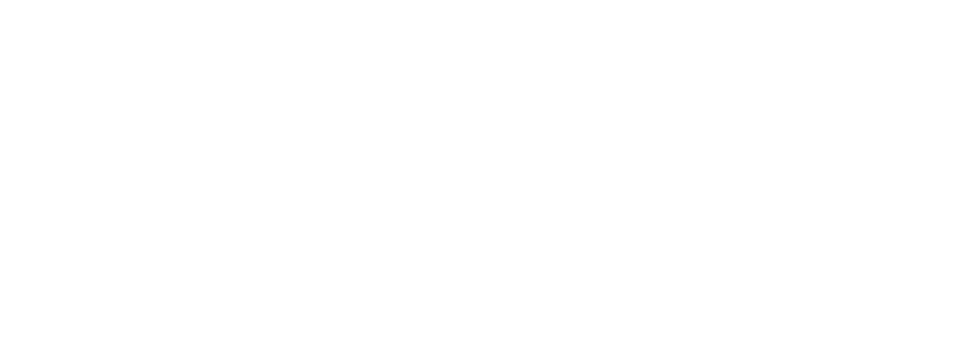 Amelotti Tecnologia